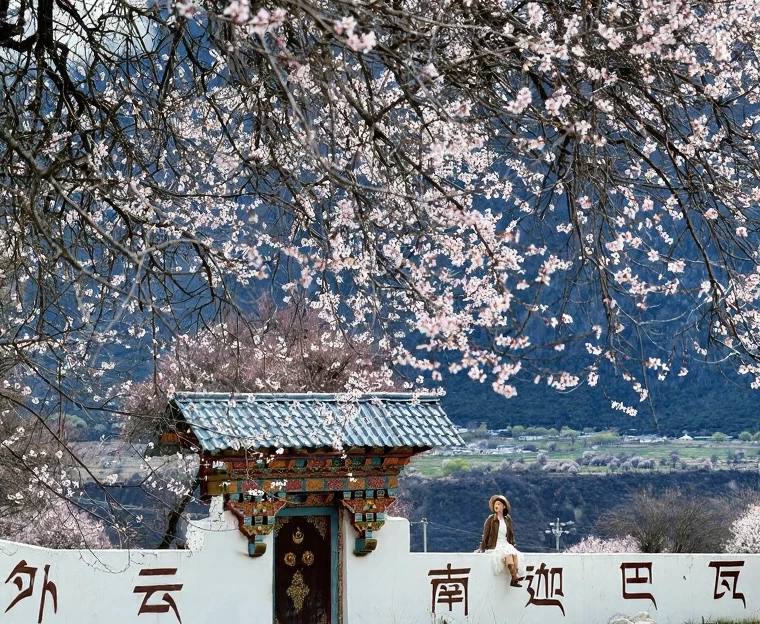 林芝旅游 1
