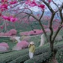 龙岩旅游 缩略图 2
