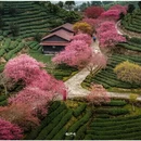 龙岩旅游 缩略图 4