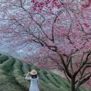 龙岩旅游 缩略图 3