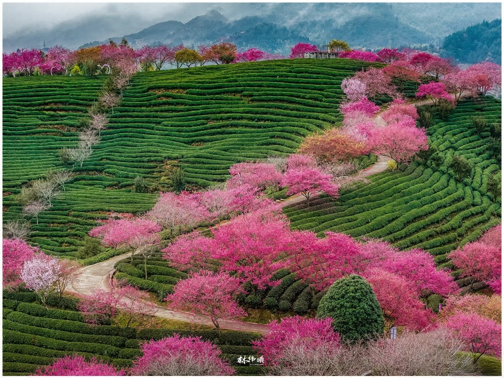 龙岩旅游