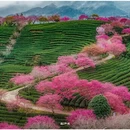 龙岩旅游 缩略图 1