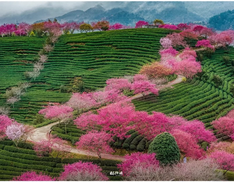 龙岩旅游 1
