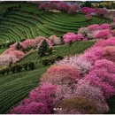 龙岩旅游 缩略图 5