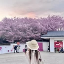 龙岩旅游 缩略图 4