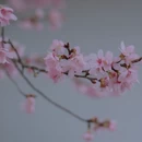 龙岩旅游 缩略图 6