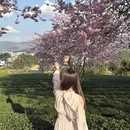 龙岩旅游 缩略图 7