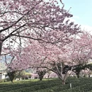 龙岩旅游 缩略图 6