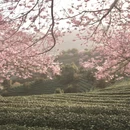 龙岩旅游 缩略图 8