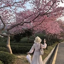 龙岩旅游 缩略图 10