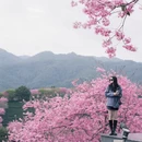 龙岩旅游 缩略图 1