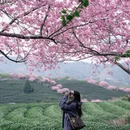 龙岩旅游 缩略图 2