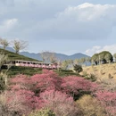 龙岩旅游 缩略图 9