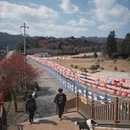 龙岩旅游 缩略图 15