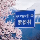 林芝旅游 缩略图 2