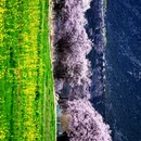 林芝旅游 缩略图 8