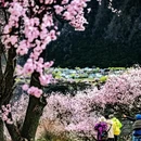 林芝旅游 缩略图 9