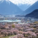 林芝旅游 缩略图 1