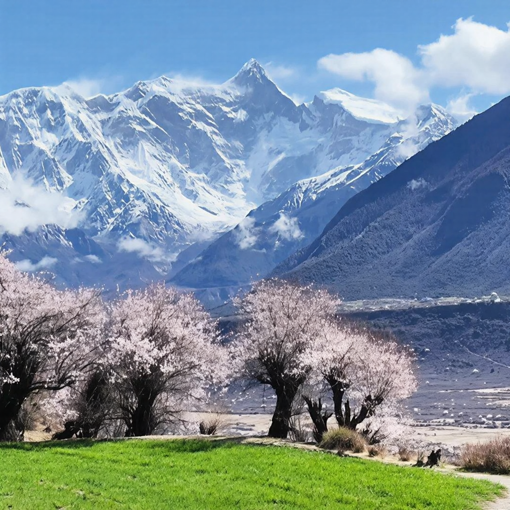 林芝旅游