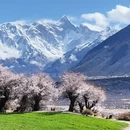 林芝旅游 缩略图 1