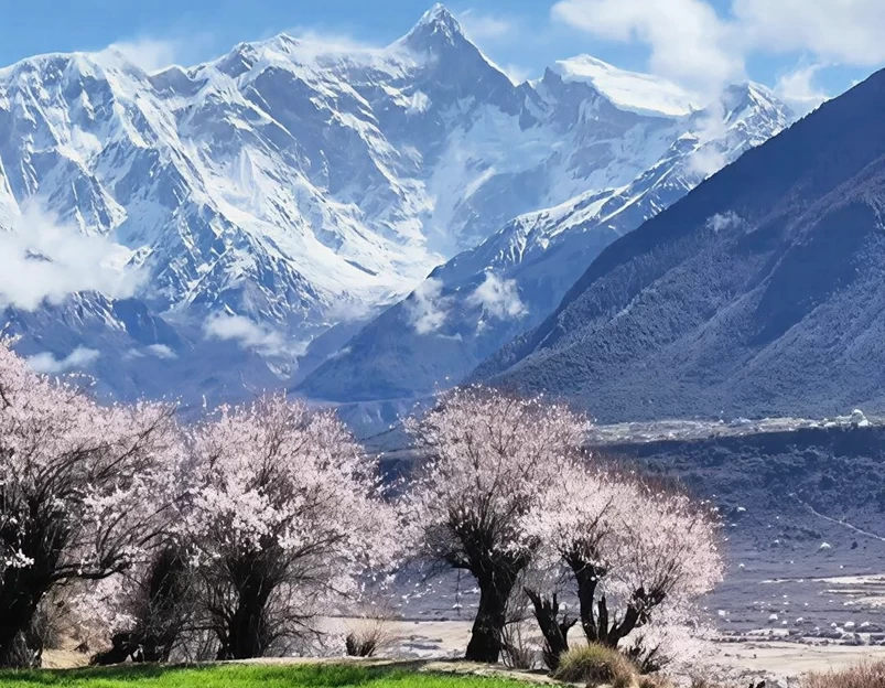 林芝旅游 1