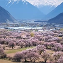 林芝旅游 缩略图 12