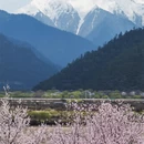 林芝旅游 缩略图 8