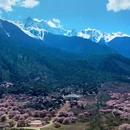 林芝旅游 缩略图 5