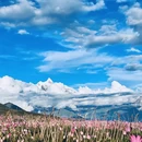 林芝旅游 缩略图 6