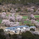 林芝旅游 缩略图 5