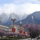 林芝旅游 缩略图 2