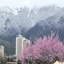 林芝旅游 缩略图 3