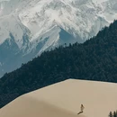 林芝旅游 缩略图 8