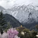 林芝旅游 缩略图 7