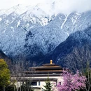 林芝旅游 缩略图 13