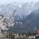林芝旅游 缩略图 4