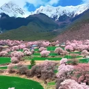 林芝旅游 缩略图 3