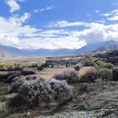 林芝旅游 缩略图 17