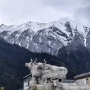 林芝旅游 缩略图 18
