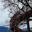 林芝旅游 缩略图 2