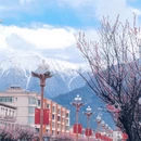 林芝旅游 缩略图 12