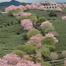 福州旅游 缩略图 2