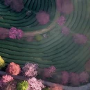 龙岩旅游 缩略图 5