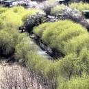 林芝旅游 缩略图 15
