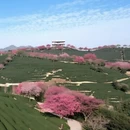 龙岩旅游 缩略图 4