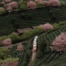 福州旅游 缩略图 4