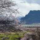 林芝旅游 缩略图 5