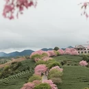 福州旅游 缩略图 7