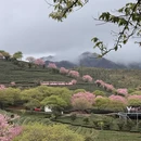 福州旅游 缩略图 11