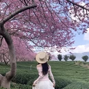 福州旅游 缩略图 7